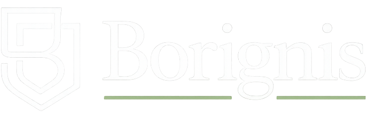 Borignis logo